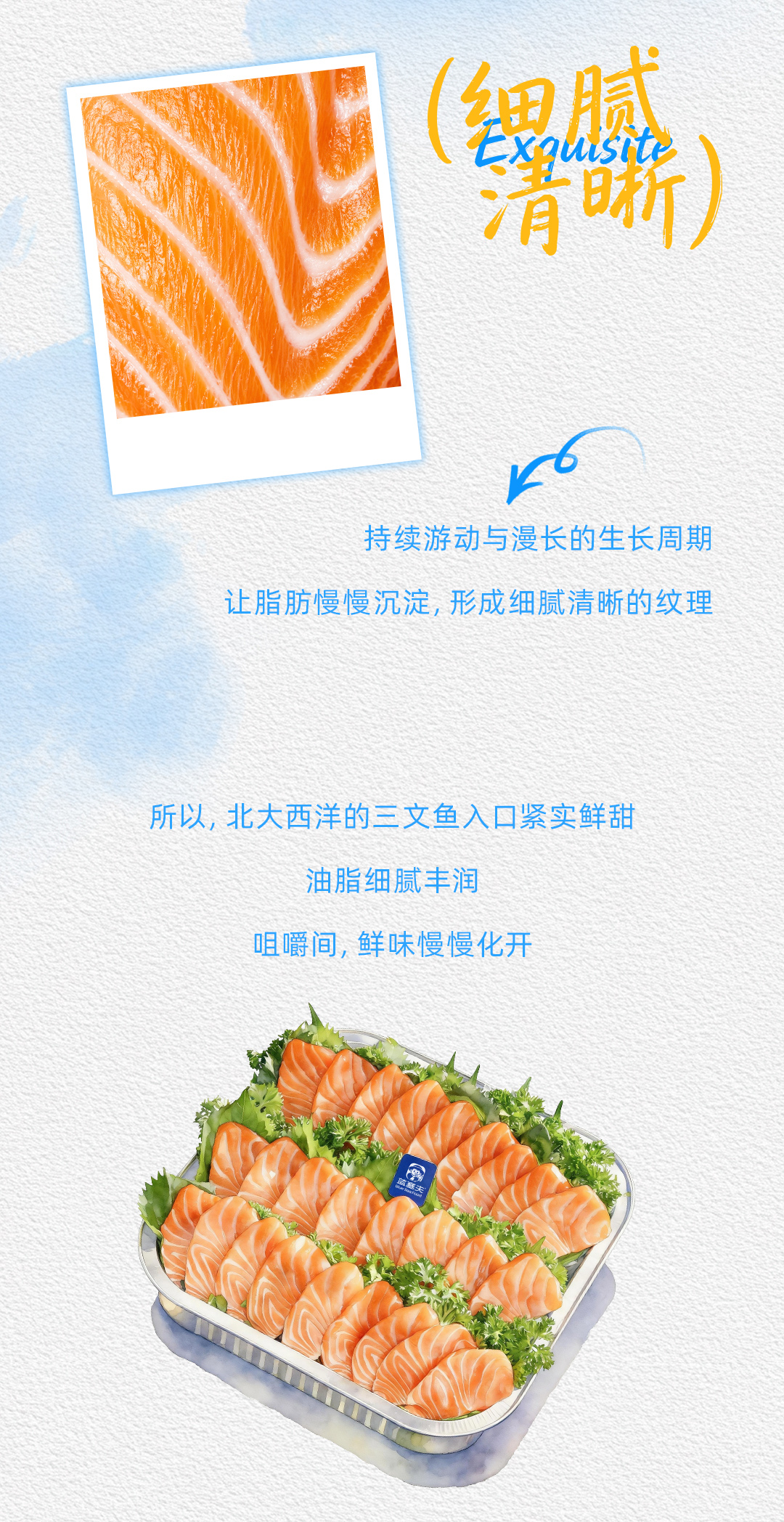 北大西洋处-那片海-我们去过_06